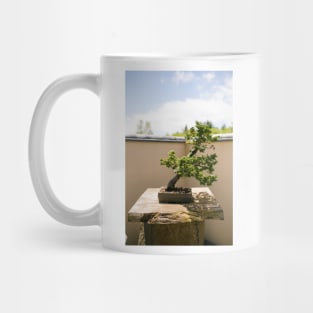 Bonsai Tree Mug